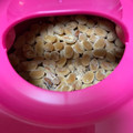たまゴン♪'s cooksnap of when they made ヨーグルティアSで簡単！手作り納豆.
