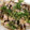 さくらっち1's cooksnap of when they made 簡単♪もやしの豚バラ巻き.