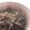 ヨメミ's cooksnap of when they made 和えてのっけて3分＊じゃこネギ飯.