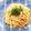 まゆみ母ちゃん's cooksnap of when they made 速攻！トマトみそパスタ（一人ランチにも）.