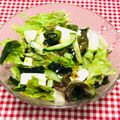 tokotann's cooksnap of when they made きゅうりとレタスと豆腐のサラダ.