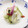 ハント☆'s cooksnap of when they made 동치미(大根の水キムチ).