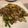 ysakY's cooksnap of when they made じゃがいもの青椒肉絲（チンジャオロース）.