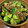 ほっぺ♡クック's cooksnap of when they made 簡単★サバ缶ときゅうりの甘辛炒め.