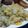 直っきー's cooksnap of when they made 大根の葉っぱとじゃこで美味しい炒飯☆.