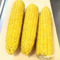 ☆こまっと☆'s cooksnap of when they made 美味しいトウモロコシの茹で方.