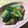 yappyパクパク's cooksnap of when they made たたき胡瓜の梅味噌和え.