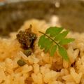 yokanoka's cooksnap of when they made 【旬の料理】実山椒の炊き込みご飯.