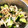kamesayo's cooksnap of when they made さっぱり！ササミとキュウリの中華和え♪.