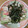 さくらっち1's cooksnap of when they made カニかまきゅうり☆わさびマヨ.