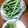 クック39HH28☆'s cooksnap of when they made 私的インゲンの☆長持ち保存.
