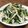 ままばなな1020's cooksnap of when they made ニラと大根の梅酢胡麻あえ☆.