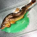 crystaI's cooksnap of when they made 魚グリルで簡単！料亭みたいな鮎の塩焼き♪.