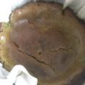 めっちゃlekker's cooksnap of when they made 大人のバスクチーズケーキ(抹茶).