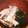 クックDAD's cooksnap of when they made キノコのお吸い物.