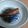 クックKG1I50☆'s cooksnap of when they made キスのムニエル.
