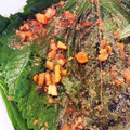 さしぴょん's cooksnap of when they made 깻잎조림(えごま油の醤油煮).