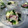 クックI7I5L1☆'s cooksnap of when they made 本格的！タコときゅうりの中華風サラダ.