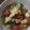クック1FX93J☆'s cooksnap of when they made トマトときゅうりの卵炒め〜生姜風味〜.