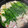 わっきー0424's cooksnap of when they made 白だしで簡単もつ鍋.