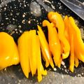 pali's cooksnap of when they made 3倍早い！？ピーマン千切り.