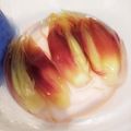 つよまり's cooksnap of when they made ミョウガのかんたん酢漬け.