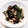 黄色いかえる's cooksnap of when they made ヒラタケとほうれん草のにんにく炒め.
