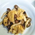dana_375's cooksnap of when they made ぶなしめじと油揚げの薄味煮.