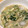 のりぴーぴーぴー's cooksnap of when they made 我が家の すったて ～埼玉の冷や汁～.
