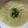 クック6A3P3K☆'s cooksnap of when they made 豚足ラーメン.