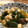 ここっこ★'s cooksnap of when they made 夏のピーマンと鶏そぼろの煮浸し.