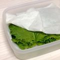 オタの奥さん's cooksnap of when they made 大葉、ﾍﾞﾋﾞｰﾘｰﾌなど葉物の長期保存.
