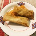 もみじ96's cooksnap of when they made 春巻きの皮で✱鶏と青じその揚げ餃子風✱.