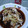 ぬこ殿！'s cooksnap of when they made ナスとキャベツの焼肉のタレ炒め.