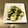 りこまこせいやのパパ's cooksnap of when they made 時短！ツナときゅうりとワカメの和え物.