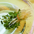 アイリッシュショコラ's cooksnap of when they made ＊便利＊ かいわれの洗い方.