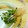 アイリッシュショコラ's cooksnap of when they made ＊便利＊ かいわれの洗い方.