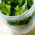 オネアミス's cooksnap of when they made 大葉の保存.