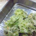 のじまさん's cooksnap of when they made たらの芽の天ぷら.