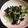 けんしんパパ's cooksnap of when they made 味付け塩のみ！豆苗の海苔ゴマ和え.