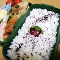 クックI7I5L1☆'s cooksnap of when they made お弁当に！梅干しクン.