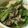 ariyuch's cooksnap of when they made ワインに合う！えびときのこのアヒージョ.