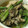 ariyuch's cooksnap of when they made ワインに合う！えびときのこのアヒージョ.