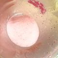 うさぽっぽえみ's cooksnap of when they made ヨーグルトとフルーツだけで美味☆シェイク.