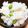 クックZBW05K☆'s cooksnap of when they made 白だしで簡単！枝豆ご飯.