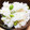 クックZBW05K☆'s cooksnap of when they made 白だしで簡単！枝豆ご飯.