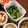 ププぞう's cooksnap of when they made 麺つゆだけ♪つるむらさきのシンプルお浸し.