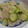 蒼井みなみ's cooksnap of when they made しらたきときゅうりのポン酢和え.