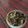 くじら☆姫's cooksnap of when they made 簡単牛丼♪.