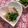 volvol's cooksnap of when they made 簡単！葉わさび（花わさび）の醤油漬け♪.